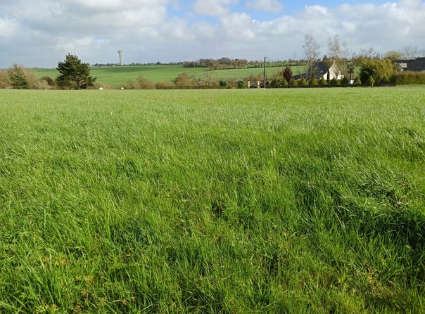 Pouillé-les-Côteaux, Pays de la Loire 44522