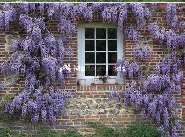 Motteville, Upper Normandy 76970