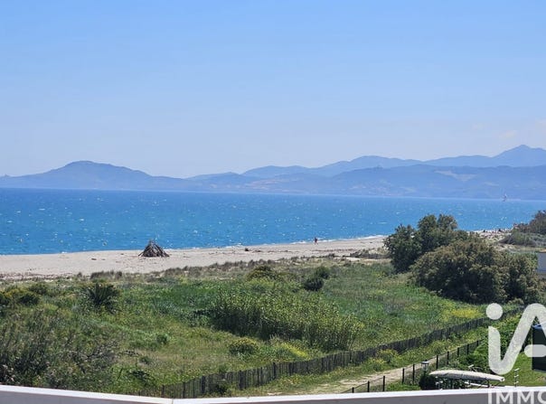 Saint-Cyprien, Occitanie 66750