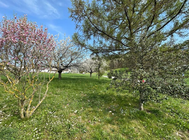 Draillant, Haute-Savoie 74550