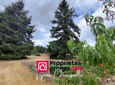 Saint-André-d'Apchon, Auvergne-Rhône-Alpes 42370