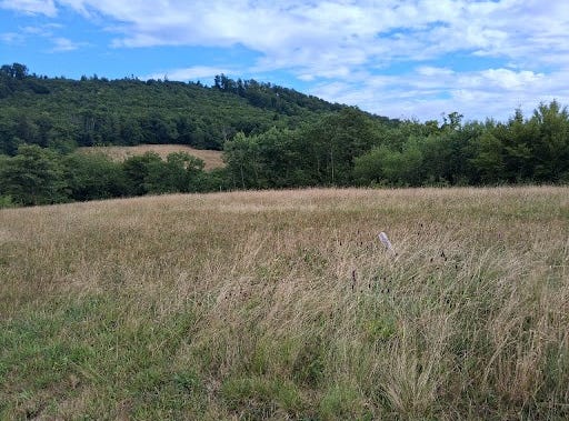 HERICOURT, Bourgogne-Franche-Comté 70400