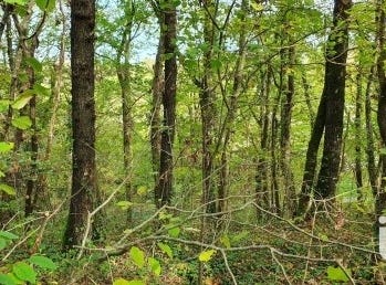 Moret-Loing-et-Orvanne, Île-de-France 77250