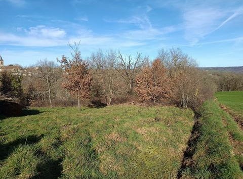 MIRANDOL BOURGNOUNAC, Midi-Pyrénées 81190