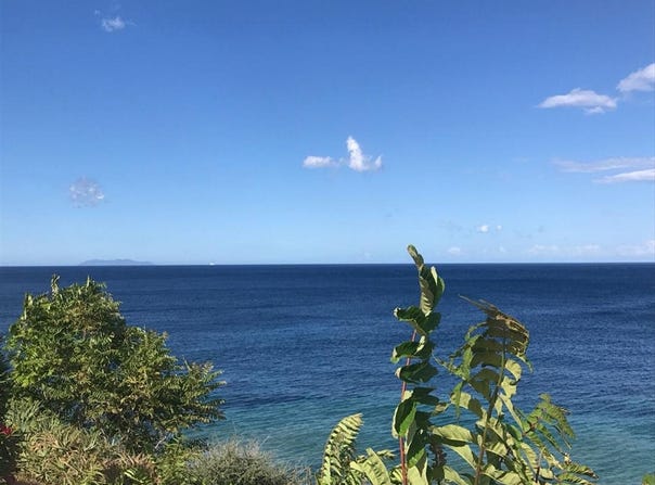 Brando, Corsica 20222