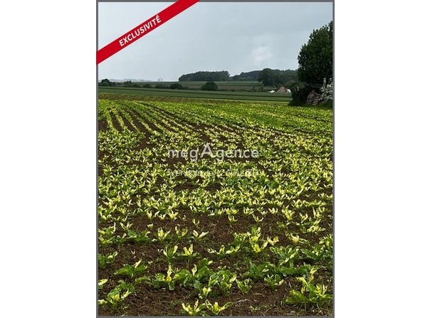 Montrecourt, Nord-Pas-de-Calais 59227