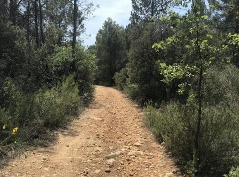 Salernes, Provence-Alpes-Côte d'Azur 83690