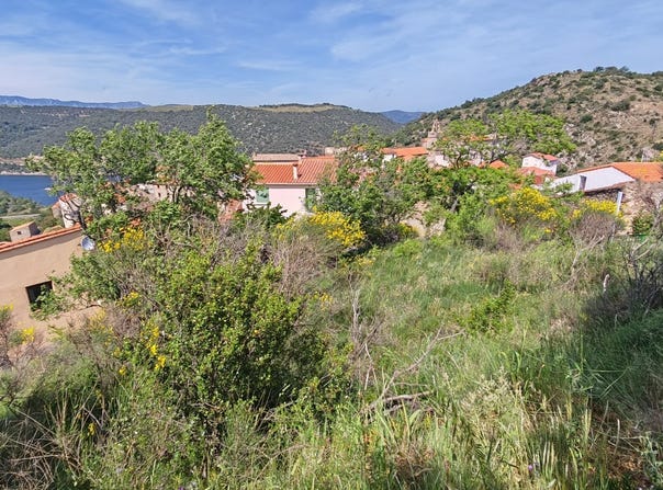 Caramany, Occitanie 66720