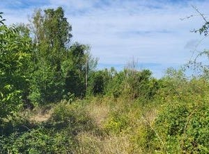 Angles-Sur-l'Anglin, Poitou-Charentes 86260
