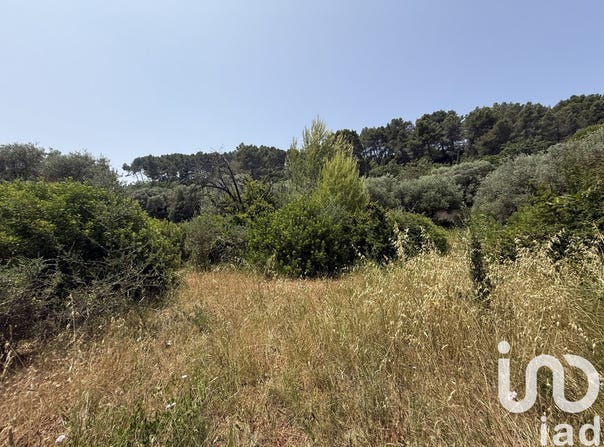 Le Cannet-des-Maures, Provence-Alpes-Côte d'Azur 83340