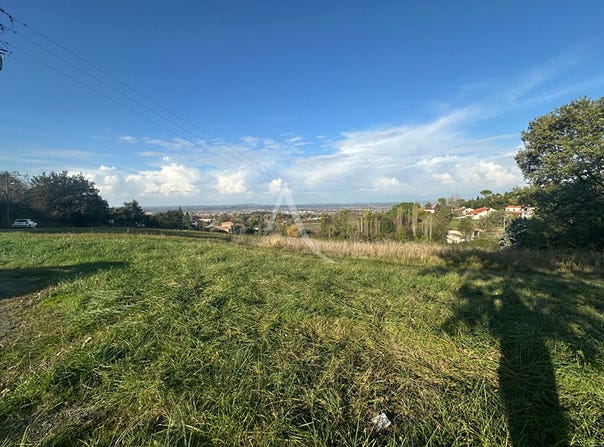 ALBI, Occitanie 81000
