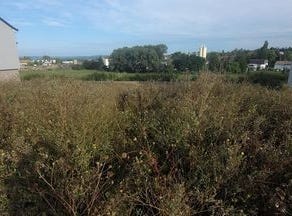 Boulay-Moselle, Lorraine 57220
