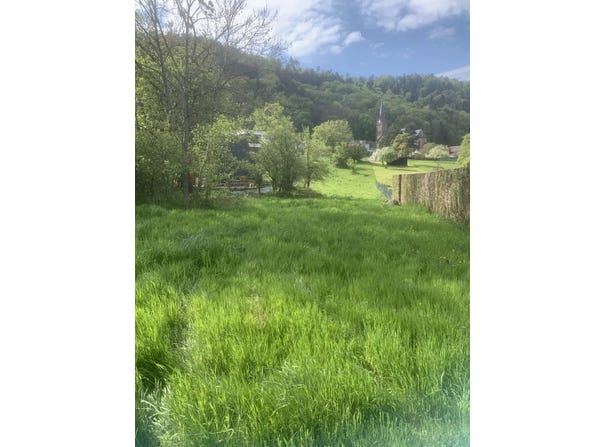 Reinhardsmunster, Bas-Rhin 67440