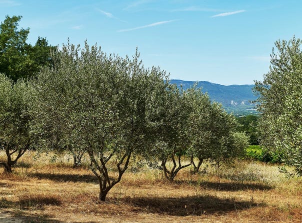 VILLELAURE HH-15596188, Villelaure, Provence-Alpes-Côte d'Azur