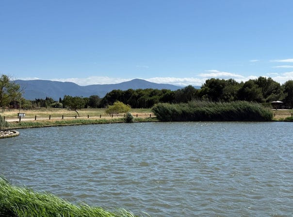 Saint-Cyprien, Languedoc-Roussillon 66750