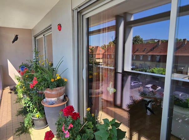Colmar, Haut-Rhin 68000