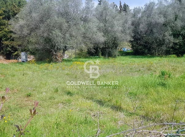 Le Cannet, Alpes-Maritimes 06110