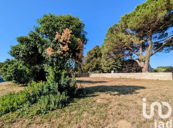 Gours, Nouvelle-Aquitaine 33660
