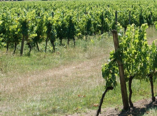 libourne, Nouvelle-Aquitaine 33500