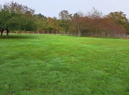 Saint-Pavace, Pays de la Loire 72190