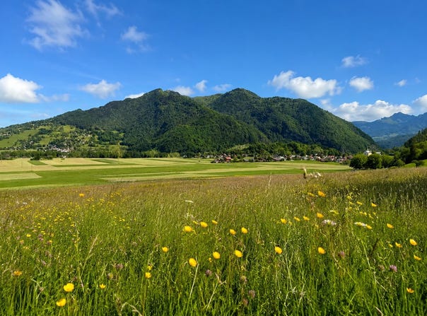 La Tour, Rhône-Alpes 74250