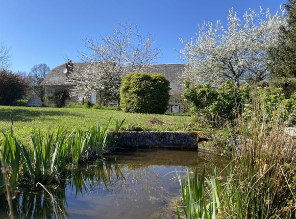 Rilhac-Treignac, Limousin 19260