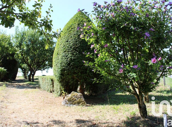 Pontlevoy, Centre-Val de Loire 41400