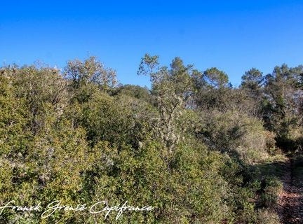 TOURVES, Provence-Alpes-Côte d'Azur 83170