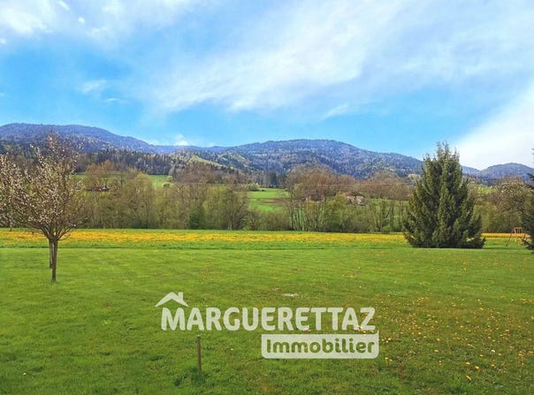 Fillinges, Auvergne-Rhône-Alpes 74250