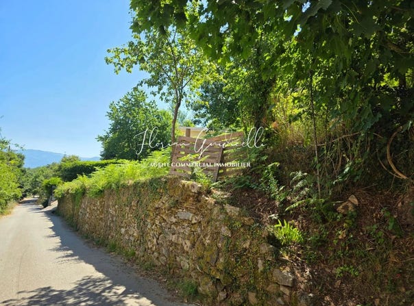 Santo-Pietro-di-Venaco, Haute-Corse 20250