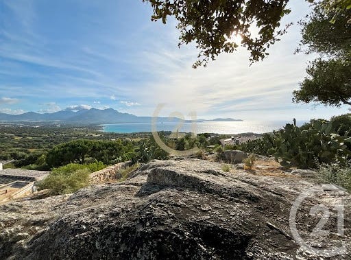 LUMIO, Corsica 20260
