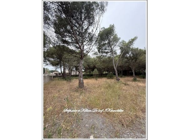 AGDE, Languedoc-Roussillon 34300