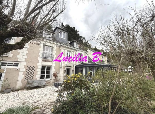 Tours, Indre-et-Loire 37100
