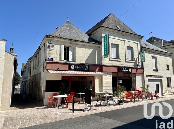 Chouzé-sur-Loire, Centre-Val de Loire 37140