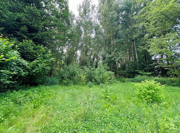 Lassy, Val-d'Oise 95270