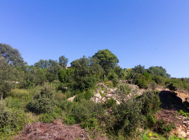 Tavaco, Corsica 20167