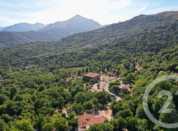 Pioggiola, Corsica 20259