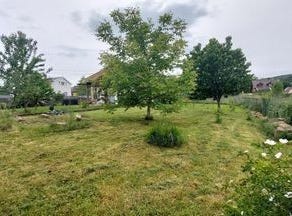 Lutzelhouse, Alsace 67130