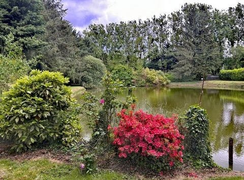 CUILLE, Pays de la Loire 53540