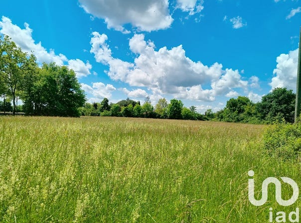 L'Isle-en-Dodon, Occitanie 31230