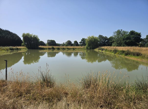 Pannecé, Pays de la Loire 44440