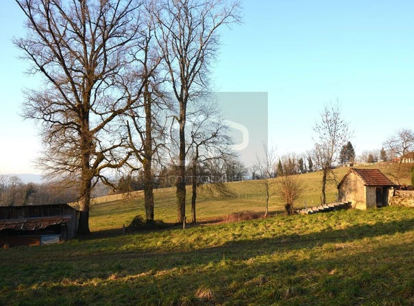 Seynod, Haute-Savoie 74600