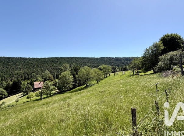 Dabo, Grand Est 57850