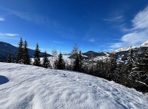 COHENNOZ, Auvergne-Rhône-Alpes 73400