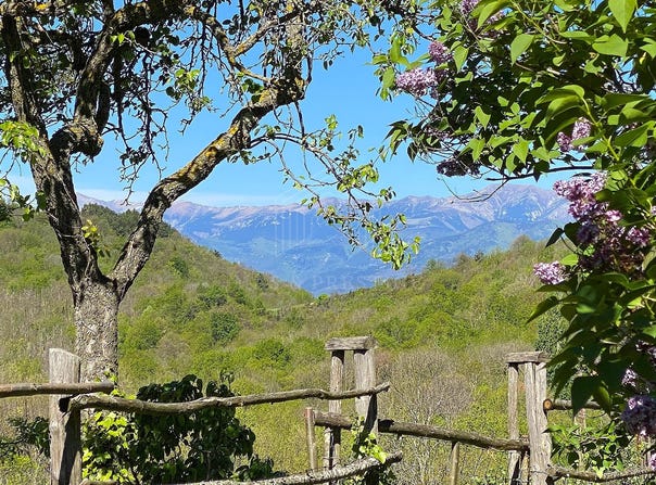 Saint-Laurent-de-Cerdans, Languedoc-Roussillon 66260