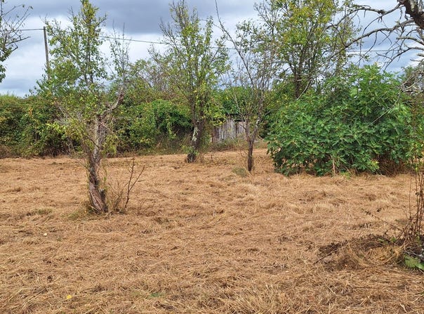 Mosnay, Centre-Val de Loire 36200