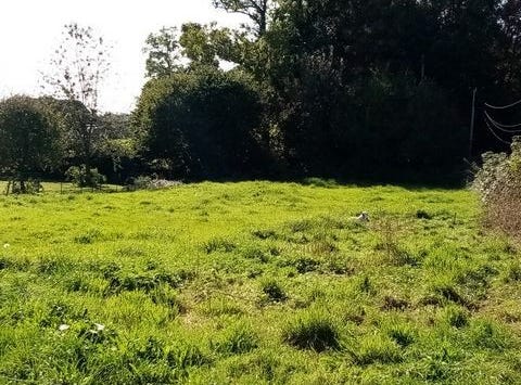 CANY BARVILLE, Haute-Normandie 76450