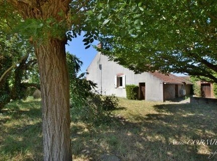 ST AIGNAN LE JAILLARD, Centre 45600