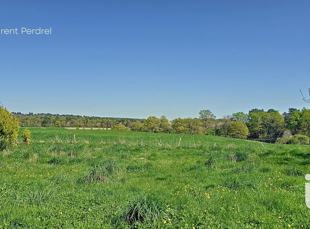 Allaire, Brittany 56350