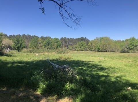 Gaillan en Medoc, Aquitaine 33340
